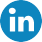 Icona LinkedIn