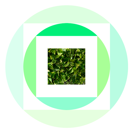 SUSTAINABILITY ECO-DESIGN